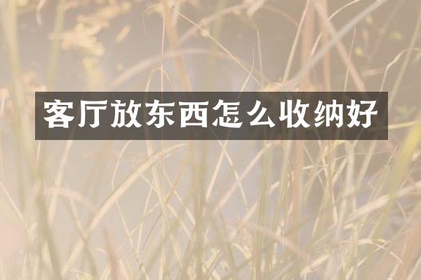 客厅放东西怎么收纳好