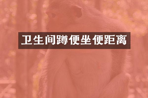 卫生间蹲便坐便距离