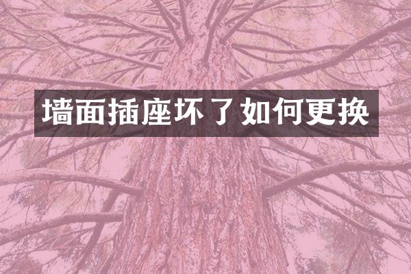墙面插座坏了如何更换