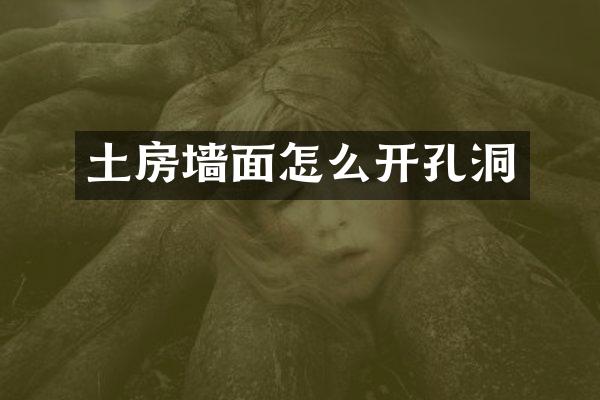 土房墙面怎么开孔洞