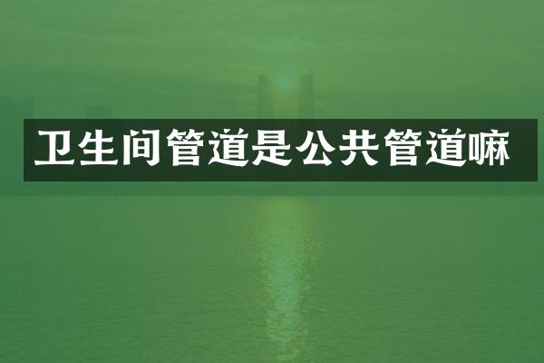 卫生间管道是公共管道嘛