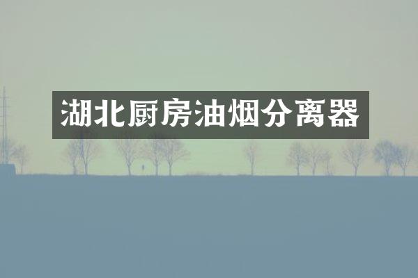 湖北厨房油烟分离器