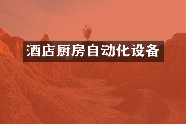 酒店厨房自动化设备