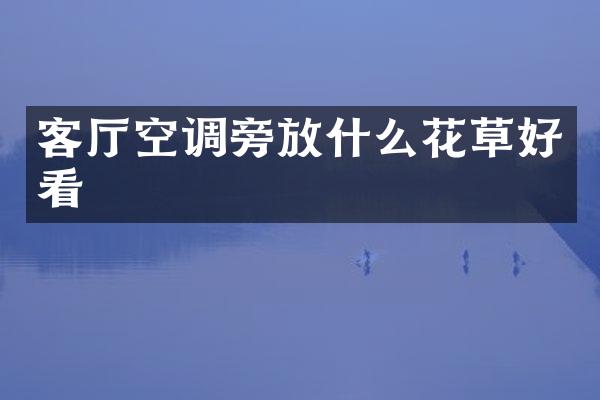 客厅空调旁放什么花草好看