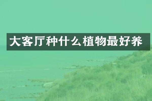 大客厅种什么植物最好养