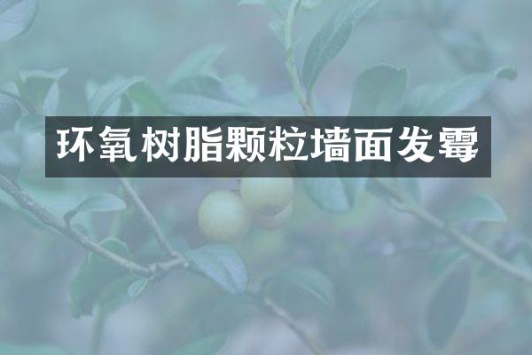 环氧树脂颗粒墙面发霉