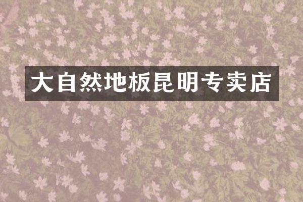 大自然地板昆明专卖店