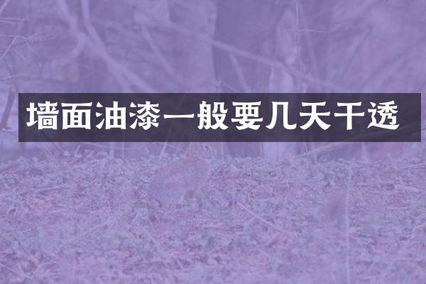 墙面油漆一般要几天干透
