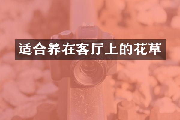 适合养在客厅上的花草