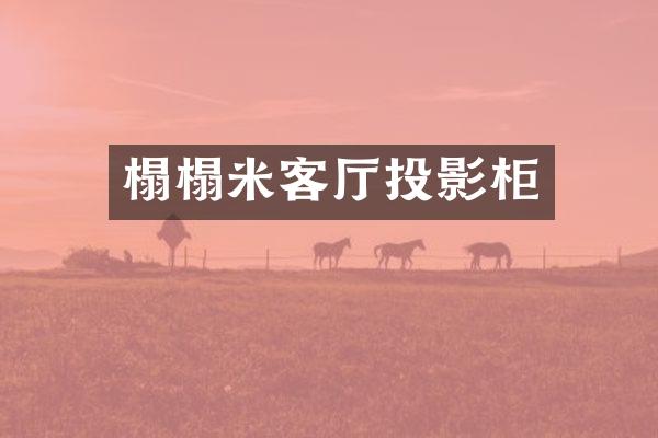 榻榻米客厅投影柜