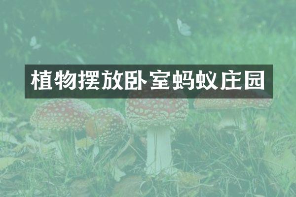 植物摆放卧室蚂蚁庄园