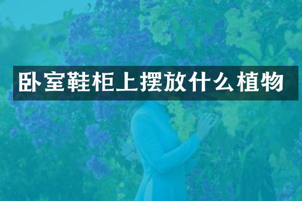 卧室鞋柜上摆放什么植物