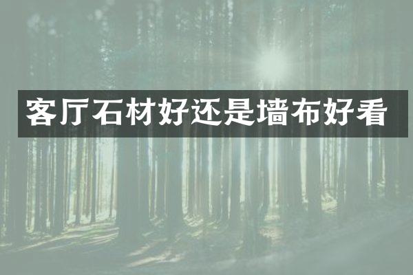 客厅石材好还是墙布好看