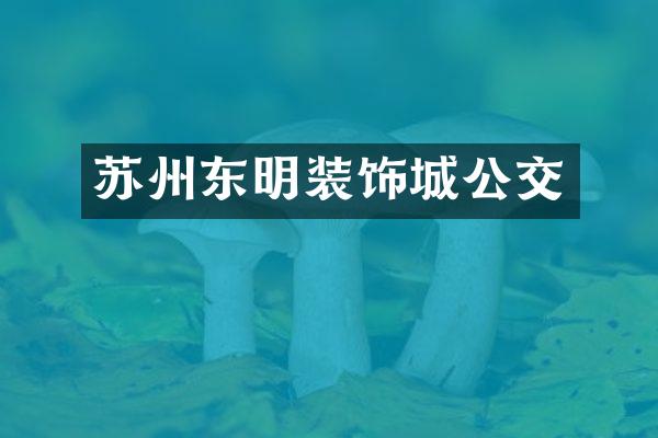 苏州东明装饰城公交