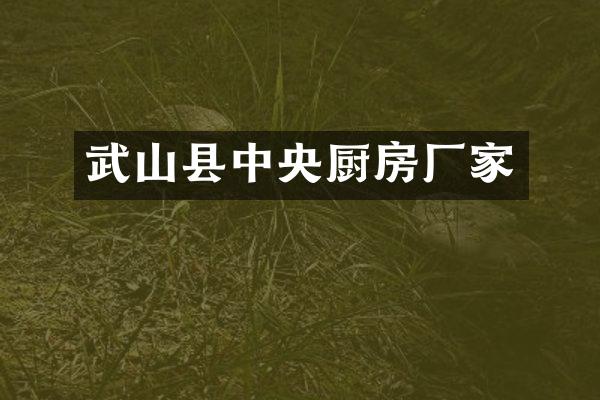 武山县中央厨房厂家