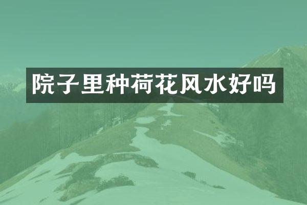 院子里种荷花风水好吗