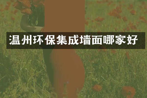 温州环保集成墙面哪家好