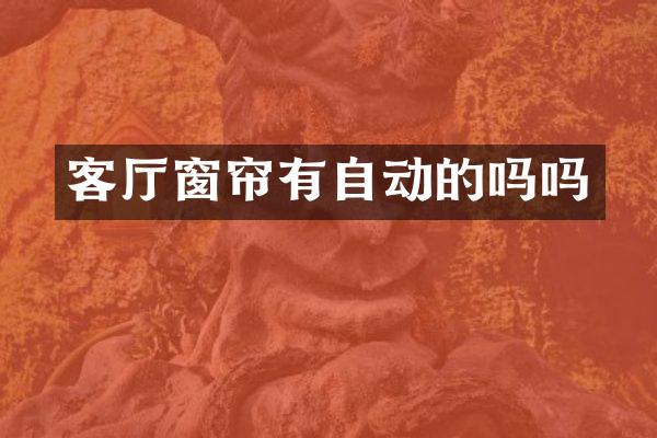 客厅窗帘有自动的吗吗