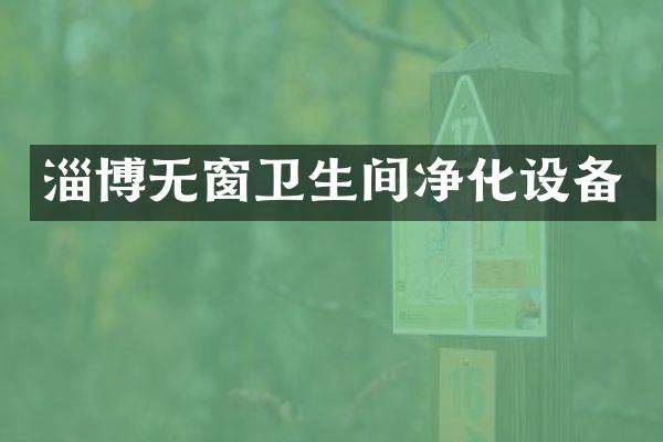 淄博无窗卫生间净化设备