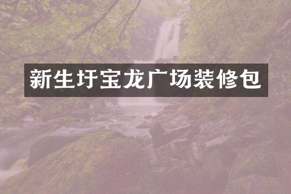 新生圩宝龙广场装修包