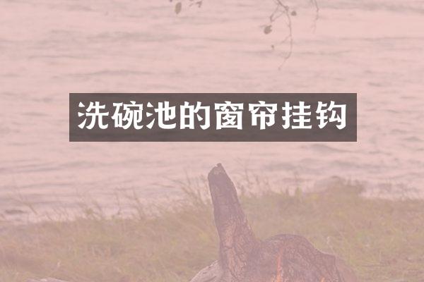 洗碗池的窗帘挂钩