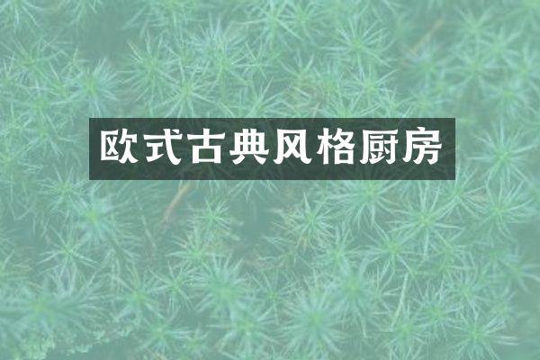 欧式古典风格厨房