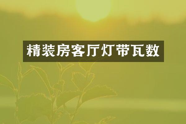 精装房客厅灯带瓦数