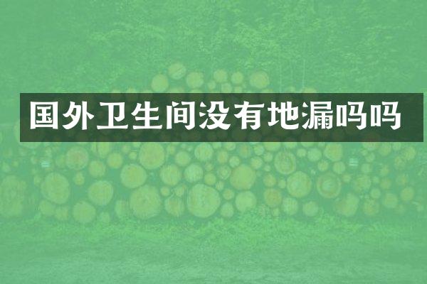 国外卫生间没有地漏吗吗