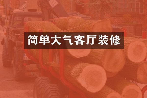简单大气客厅装修