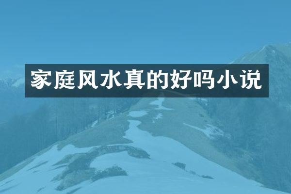 家庭风水真的好吗小说