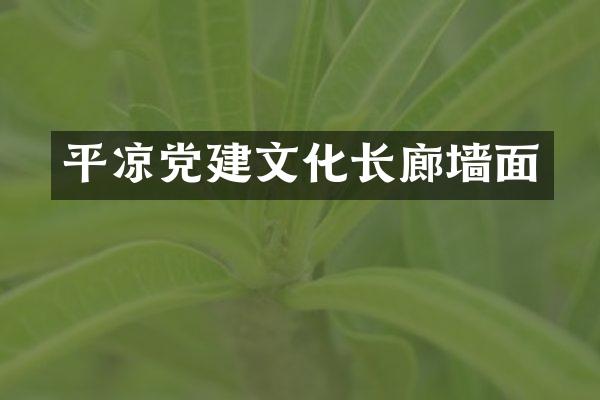 平凉党建文化长廊墙面
