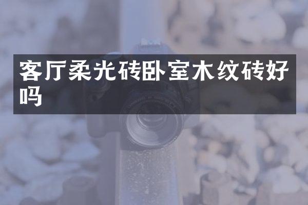 客厅柔光砖卧室木纹砖好吗