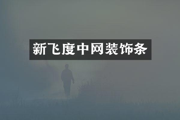 新飞度中网装饰条