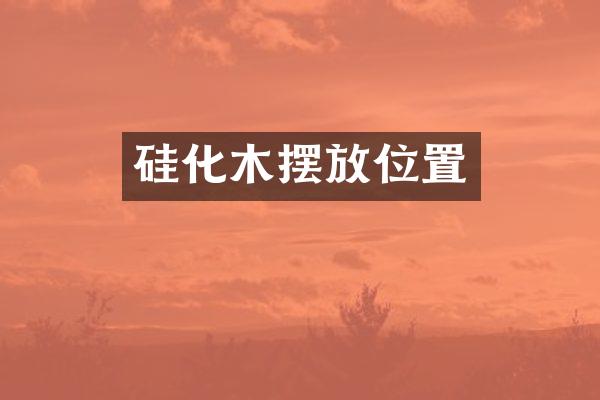硅化木摆放位置