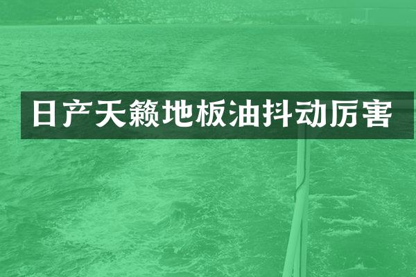 日产天籁地板油抖动厉害