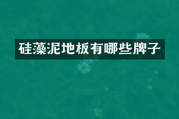 硅藻泥地板有哪些牌子