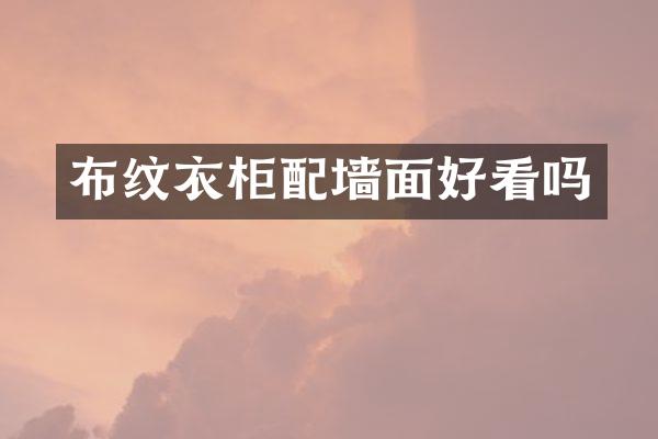 布纹衣柜配墙面好看吗