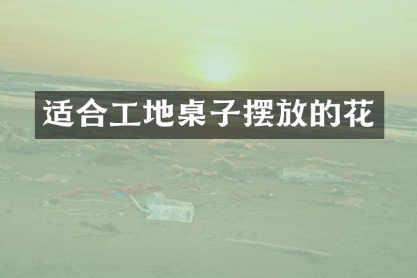 适合工地桌子摆放的花