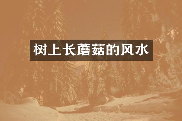 树上长蘑菇的风水