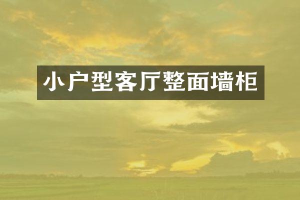 小户型客厅整面墙柜