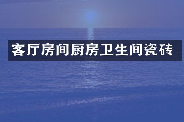 客厅房间厨房卫生间瓷砖