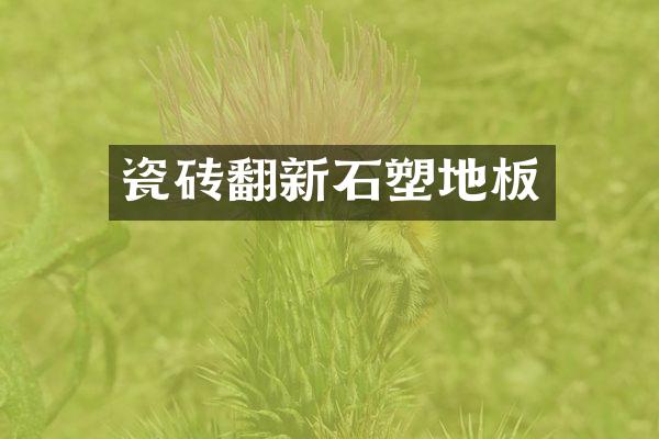 瓷砖翻新石塑地板