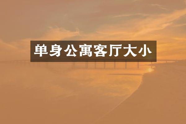 单身公寓客厅大小