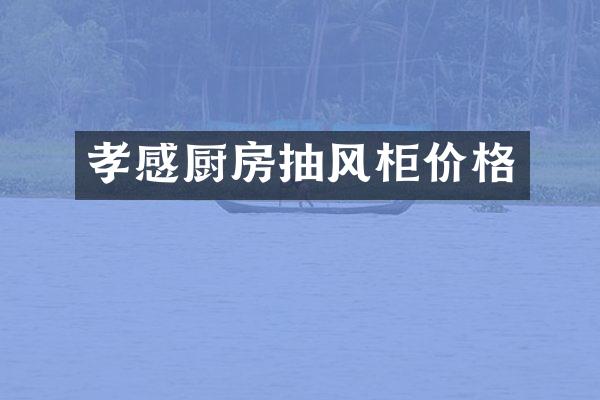 孝感厨房抽风柜价格