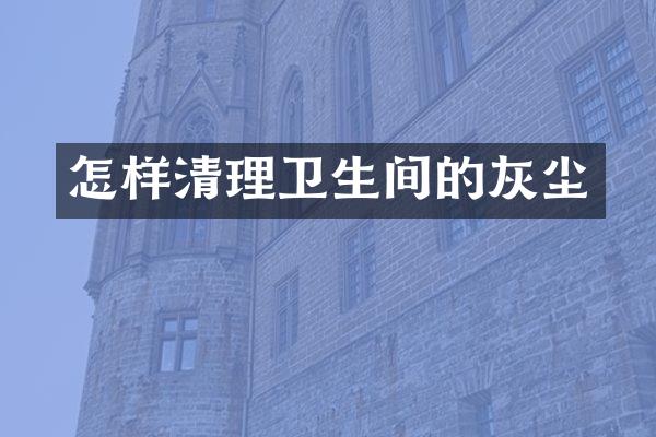 怎样清理卫生间的灰尘