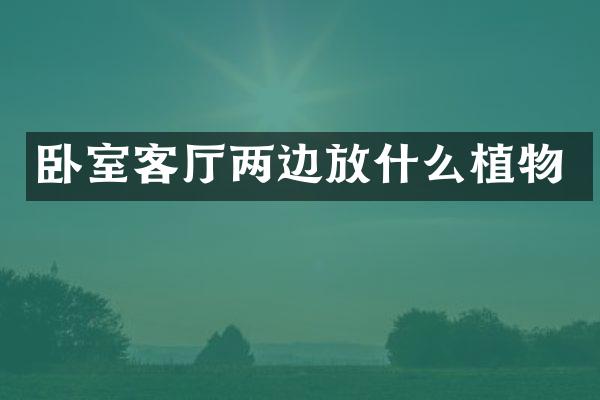 卧室客厅两边放什么植物