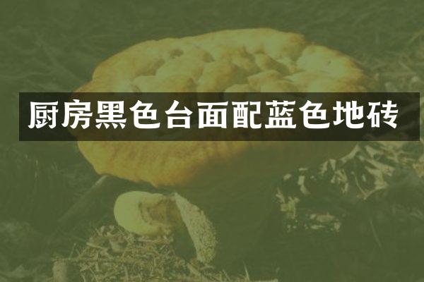 厨房黑色台面配蓝色地砖