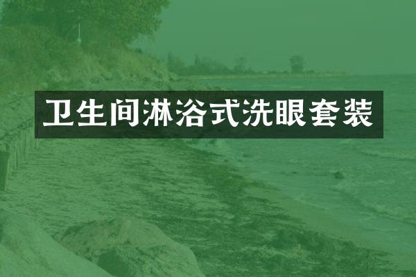 卫生间淋浴式洗眼套装