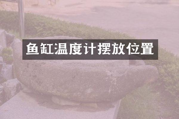 鱼缸温度计摆放位置