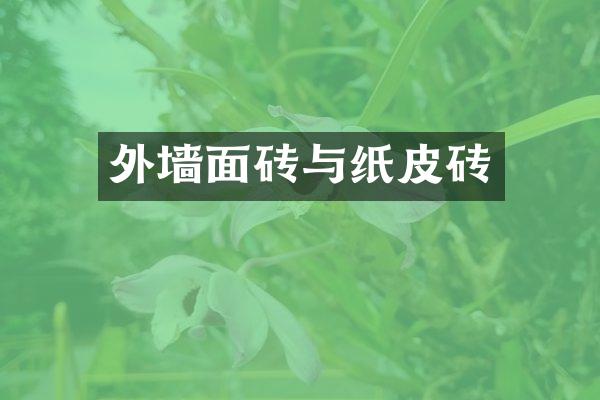 外墙面砖与纸皮砖